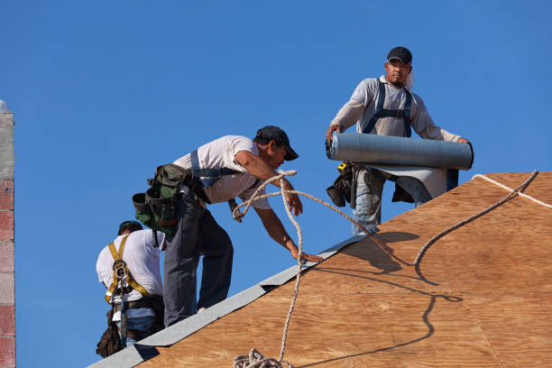 Best Roof Gutter Cleaning  in Milton, DE